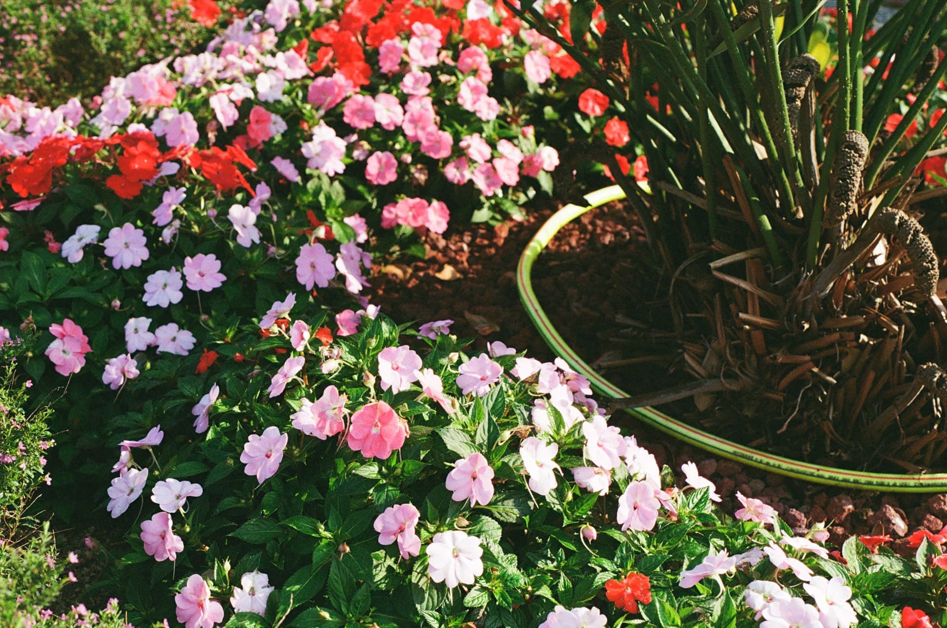 Hong Kong Park — shot by @akash